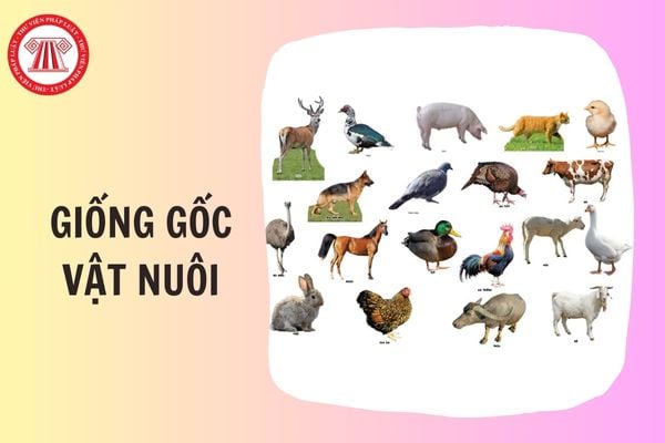 TOÀN VĂN Thông tư 71/2025/TT-BNNMT về định mức kinh tế kỹ thuật giống gốc vật nuôi ra sao?